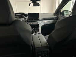 Peugeot 3008 pieno