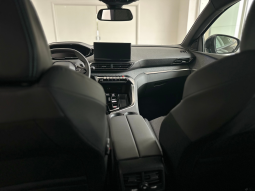 Peugeot 3008 full