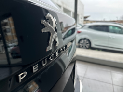 Peugeot 3008 full