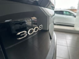 Peugeot 3008 pieno