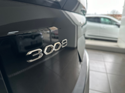 Peugeot 3008 full