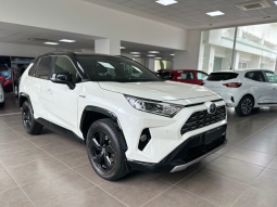 TOYOTA RAV4 2.5 VVT-IE HYBRID 218CV STYLE 2WD E-CVT full