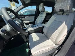RENAULT ESPACE ICONIC E-TECH FULL HYBRID pieno