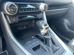 TOYOTA RAV 4 ACTIVE 2.5 HYBRID USATO NOLA AVELLINO pieno