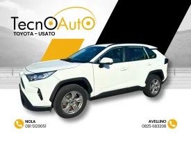 TOYOTA RAV 4 ACTIVE 2.5 HYBRID USATO NOLA AVELLINO