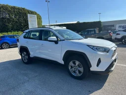 TOYOTA RAV 4 ACTIVE 2.5 HYBRID USATO NOLA AVELLINO pieno