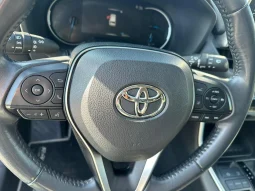 TOYOTA RAV 4 ACTIVE 2.5 HYBRID USATO NOLA AVELLINO pieno